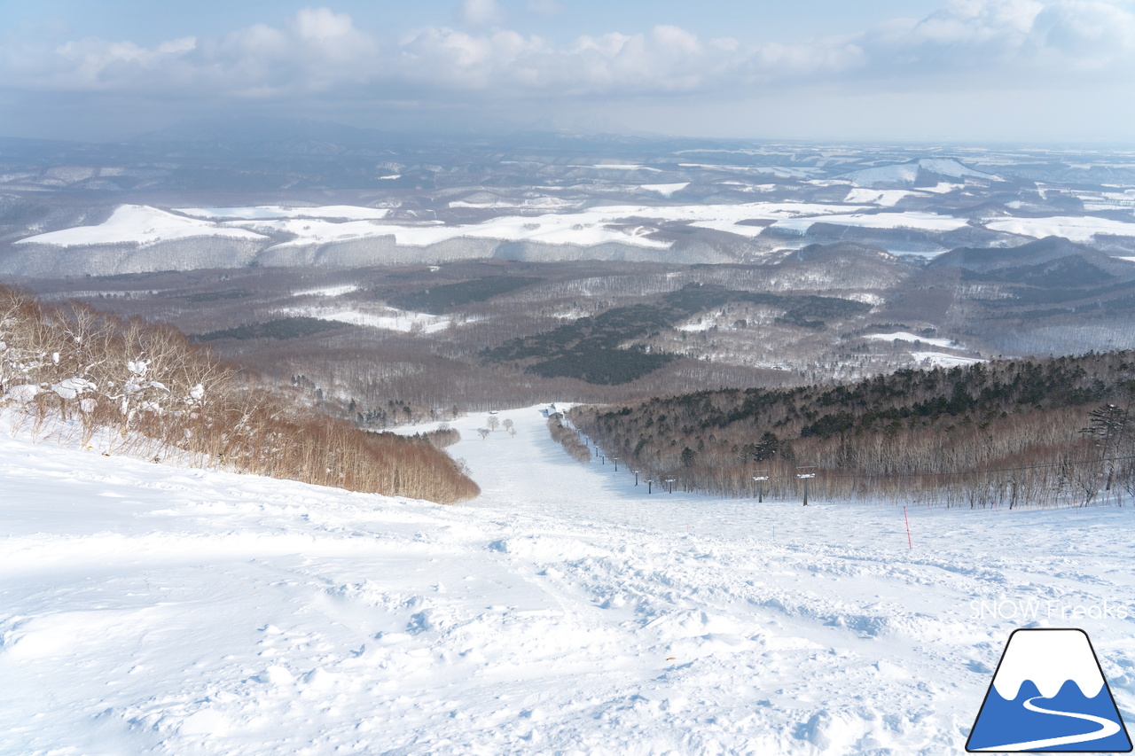 十勝サホロリゾート｜あの記録的な大雪から１週間…。ゲレンデのコンディションは、この上ないほど良好です(^^)v